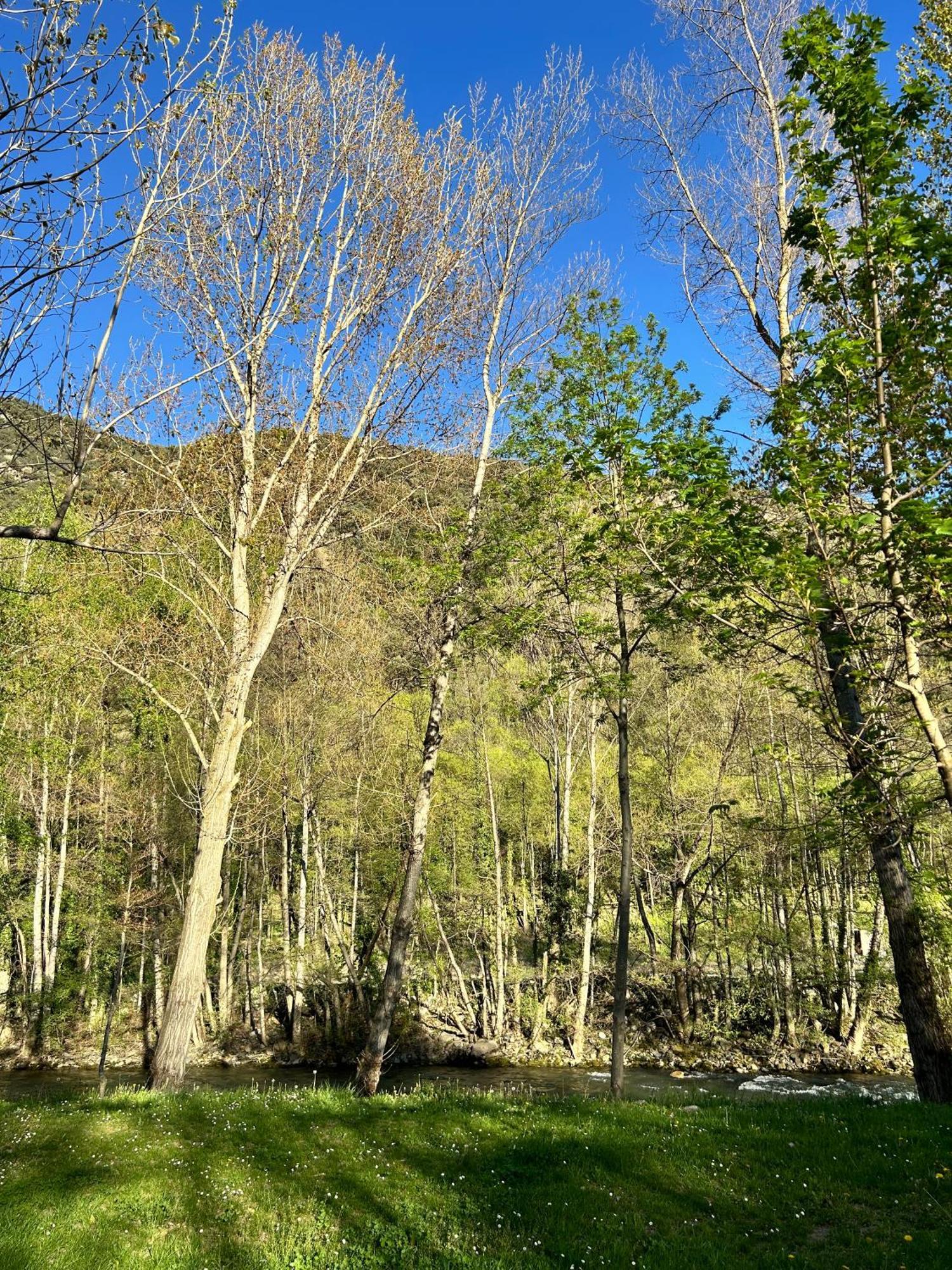 Camping Noguera Pallaresa Sort Eksteriør bilde